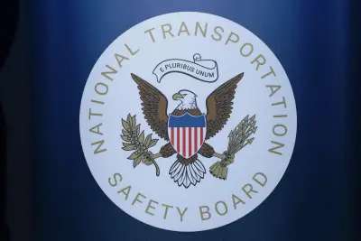 Pilot who died in N.C. plane crash tried to avoid a turtle on airport runway