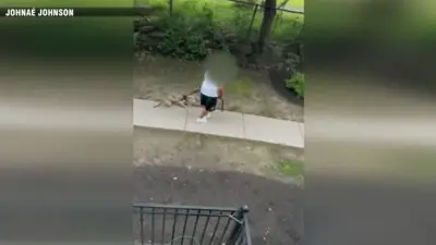 MSPCA investigating shocking video of dog being hit with leash in Dorchester