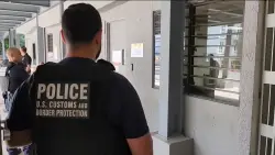 Illegal immigration hit a record-high of 14 million in the US in 2023, Pew report finds