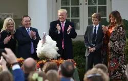 A tradition for turkeys: Another presidential pardon