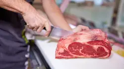 Butcher shops close as E. coli outbreak kills 12-year-old girl, hospitalizes 21 children