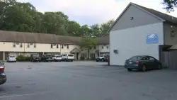 Warning issued after 2 dogs bitten by venomous snake in Attleboro