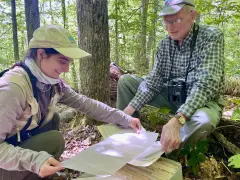 By listening to these birds for decades, scientists track signs of a changing forest