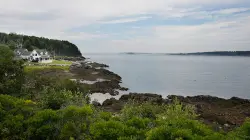 Multiple sharks spotted at popular beach that saw deadly attack 5 years ago