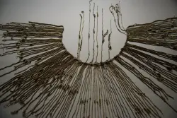Who made these knotted records during the Inca Empire?